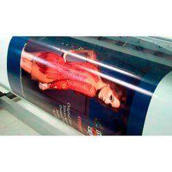 Impresión en Papel Fotográfico 