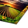 Impresión Aluminio Compuesto en Cama Plana UV 122X122 cms Letreros
