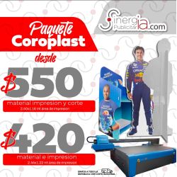 Paquete Coroplast 4mm 