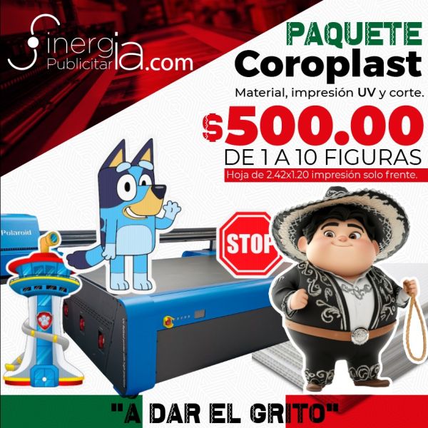 Paquete Coroplast