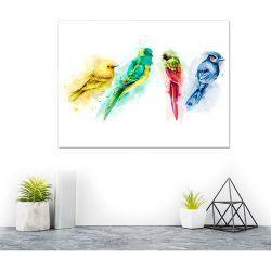 Cuadro Tela Canvas 50x38 