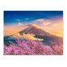 Cuadro Tela Canvas 50x38 