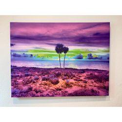 Cuadro Tela Canvas 70x52 