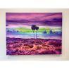 Cuadro Tela Canvas 70x52 
