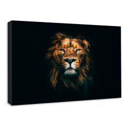 Cuadro Tela Canvas 80x60 