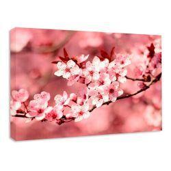 Cuadro Tela Canvas 80x60 