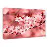 Cuadro Tela Canvas 80x60 
