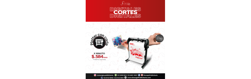 Plotter de Corte