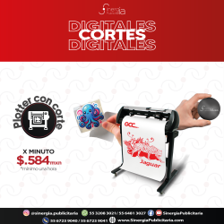Plotter de Corte